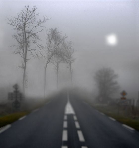 1048 - FOG - AUDINOT MICHEL - france.jpg